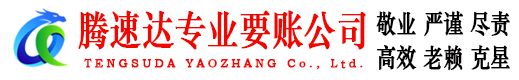 崇阳清债公司
